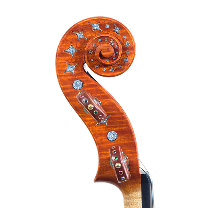 violino